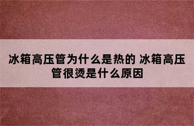 冰箱高压管为什么是热的 冰箱高压管很烫是什么原因